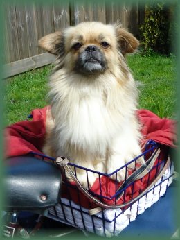 Lees alles over Lilly ...